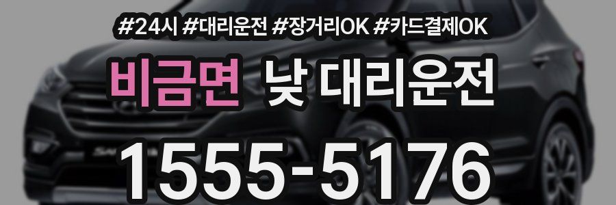비금면 낮 대리운전