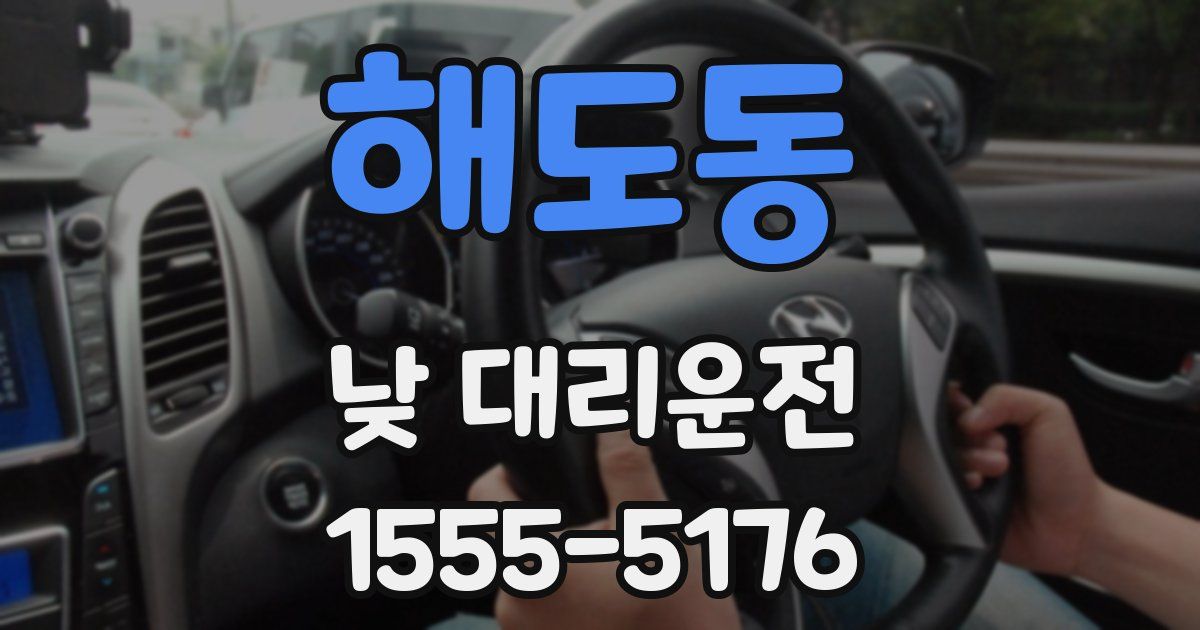 해도동 낮 대리운전