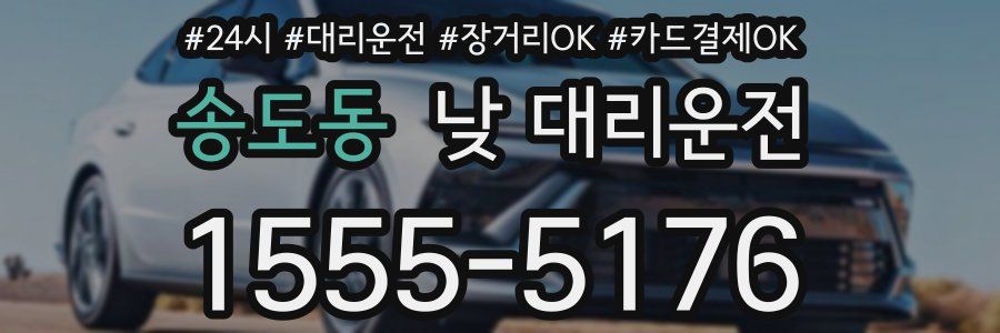 송도동 낮 대리운전