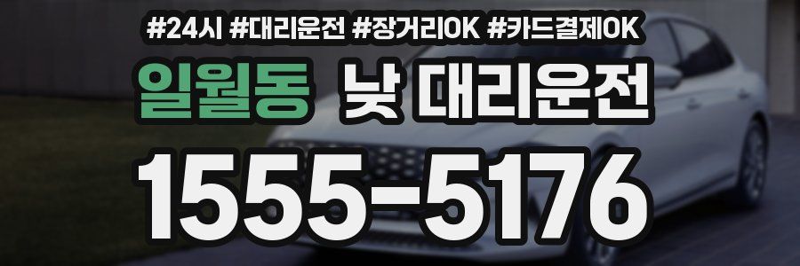 일월동 낮 대리운전