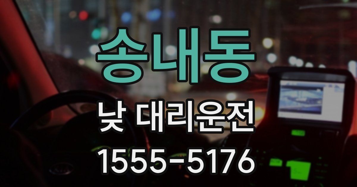 송내동 낮 대리운전