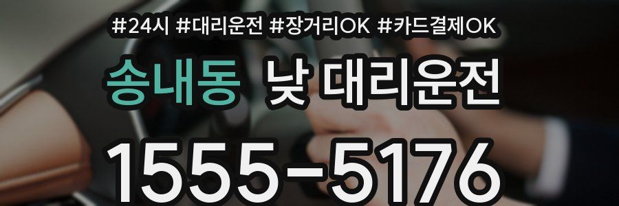 송내동 낮 대리운전