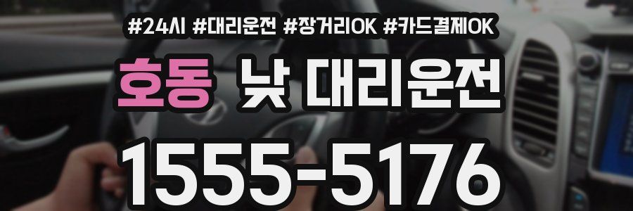 호동 낮 대리운전