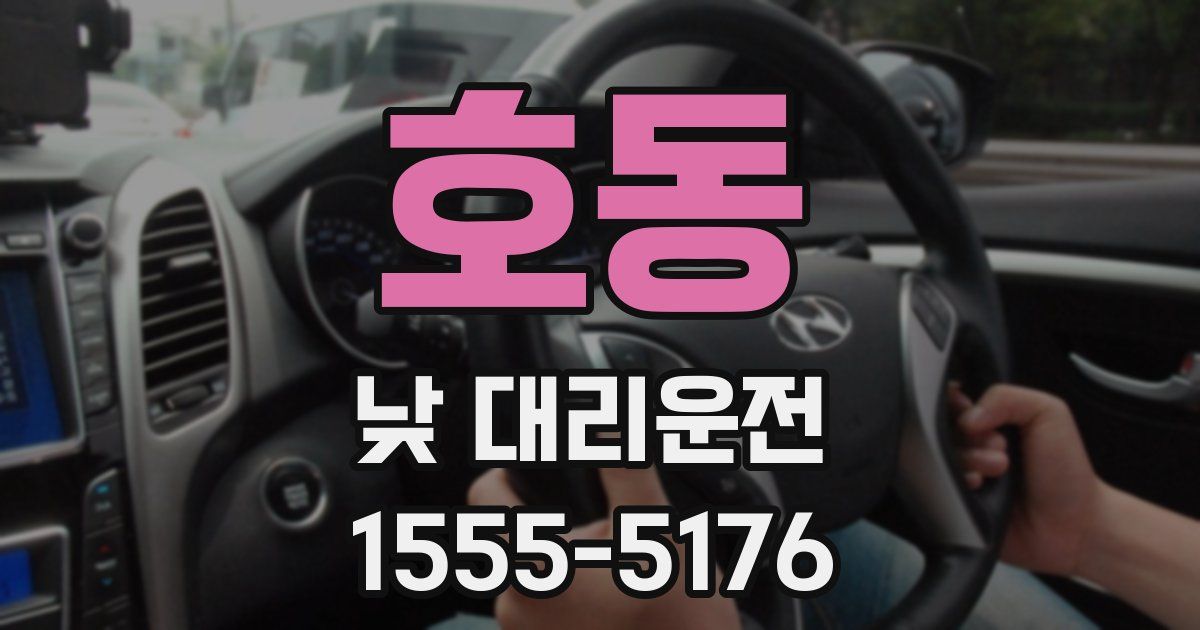 호동 낮 대리운전