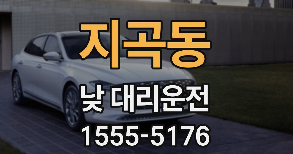 지곡동 낮 대리운전