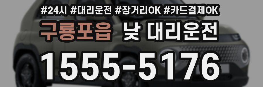 구룡포읍 낮 대리운전
