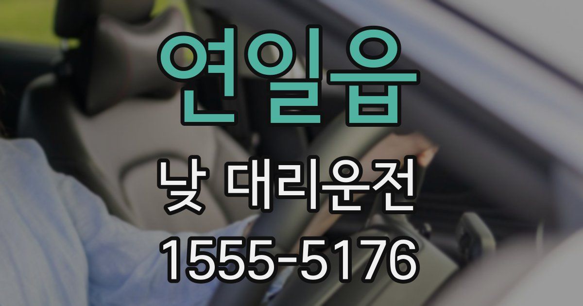 연일읍 낮 대리운전