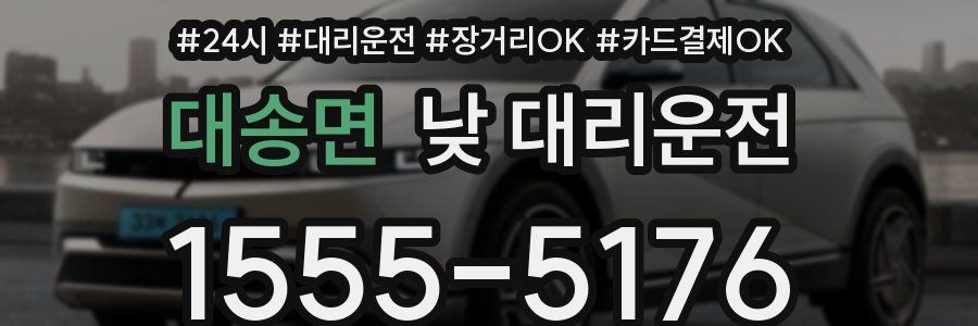대송면 낮 대리운전