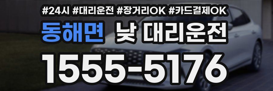 동해면 낮 대리운전