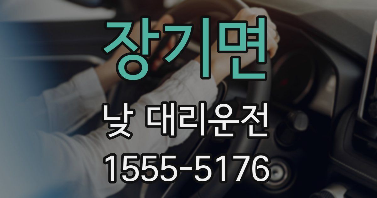 장기면 낮 대리운전