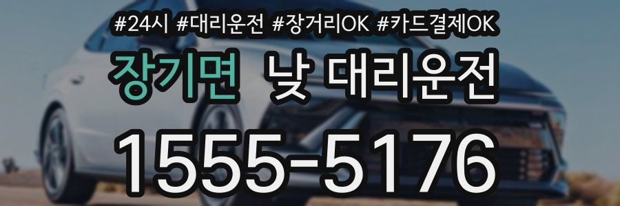 장기면 낮 대리운전