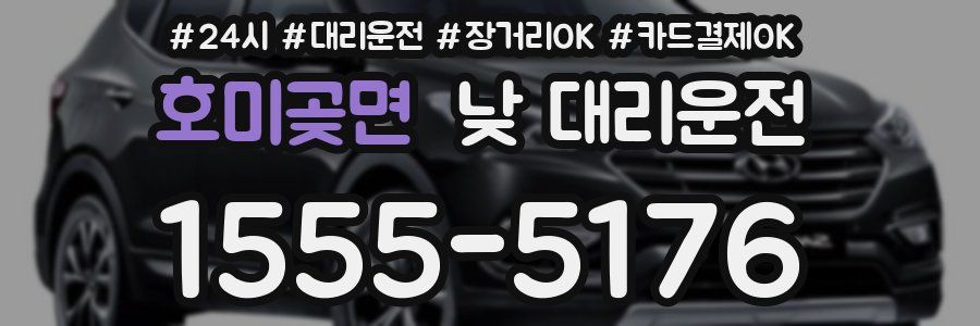 호미곶면 낮 대리운전
