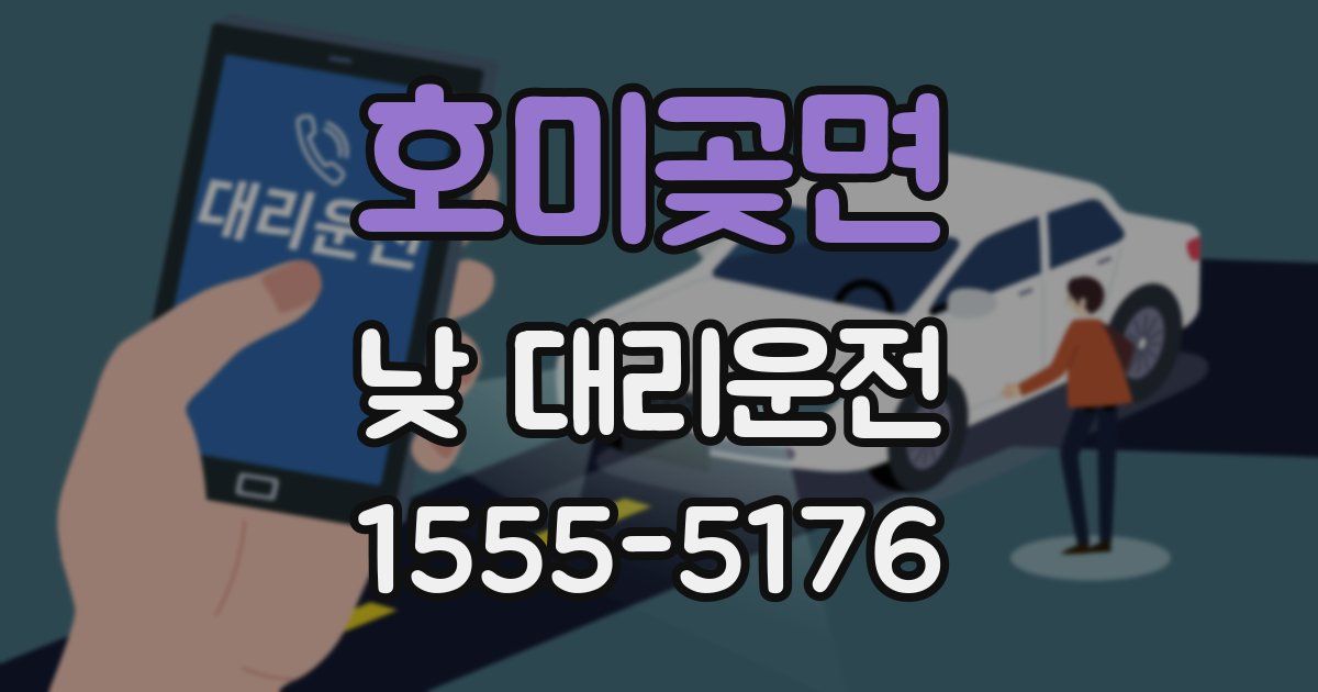 호미곶면 낮 대리운전