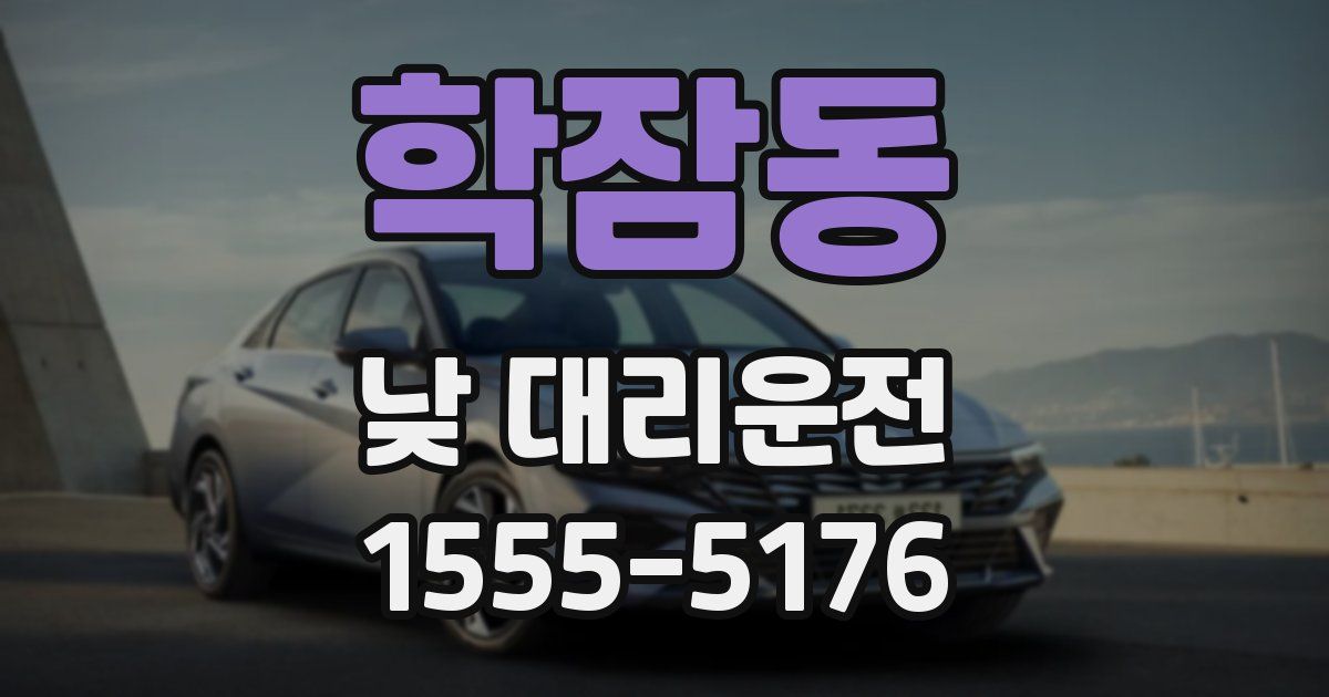 학잠동 낮 대리운전