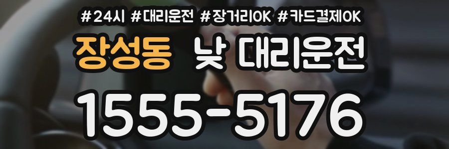 장성동 낮 대리운전