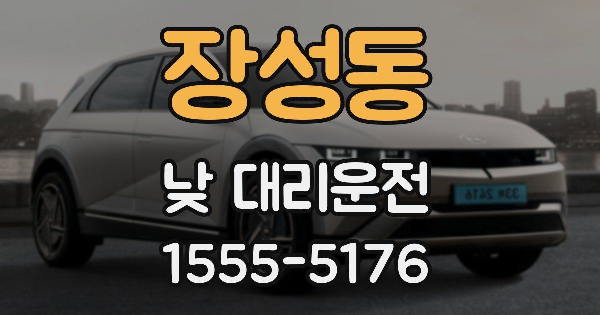 장성동 낮 대리운전