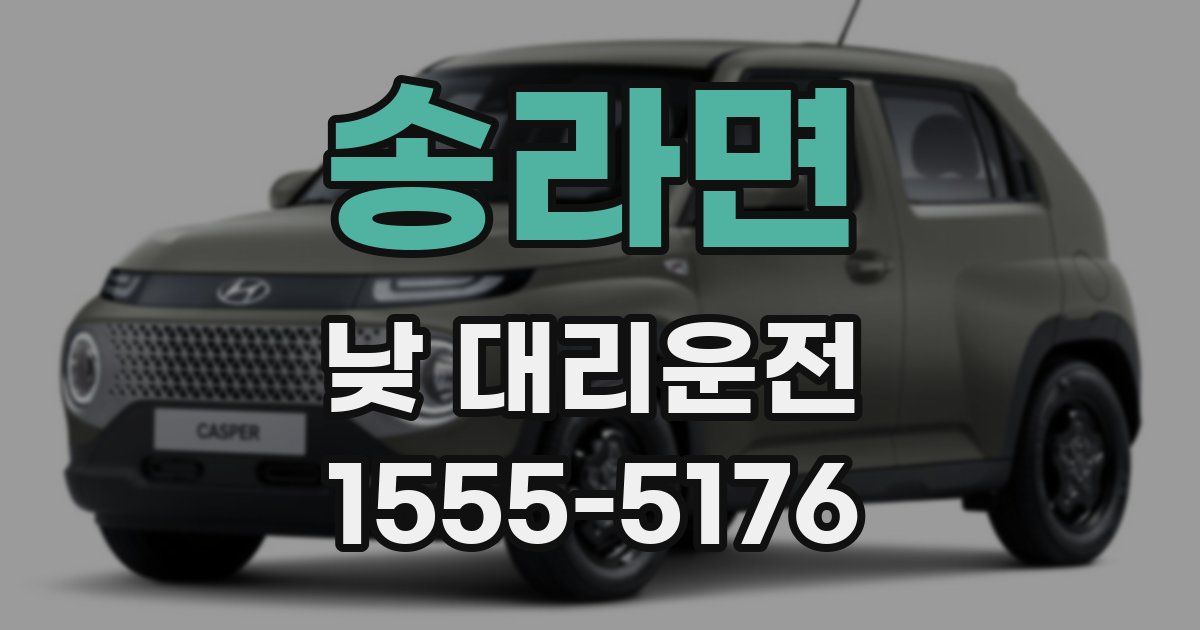 송라면 낮 대리운전