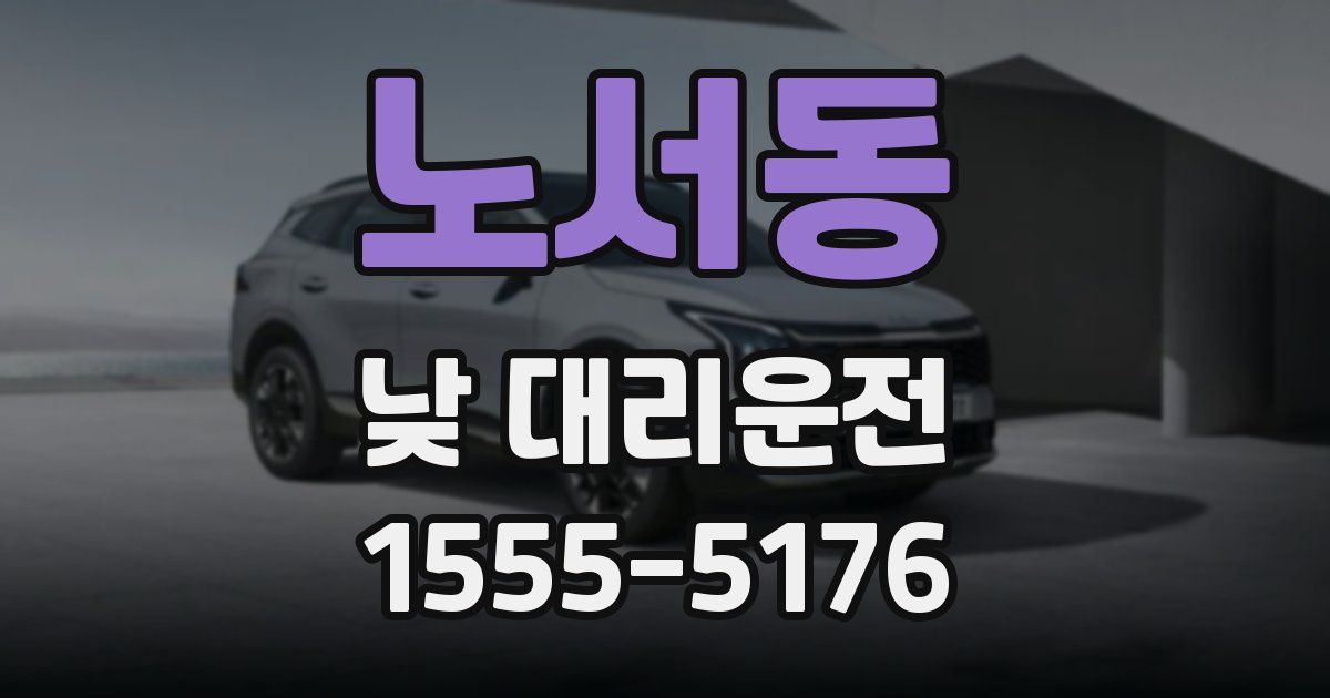 노서동 낮 대리운전