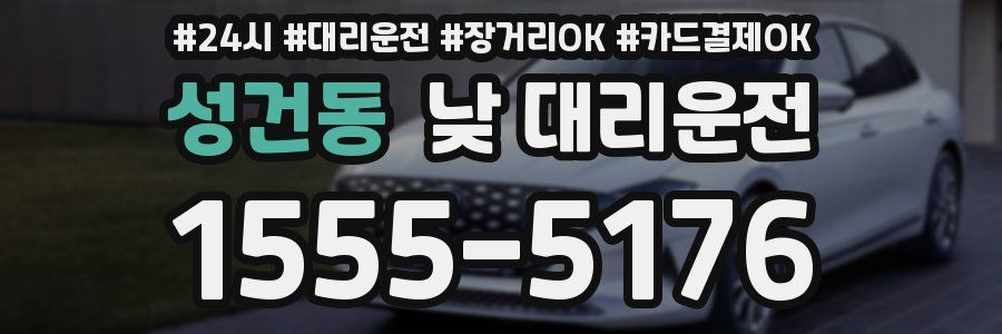 성건동 낮 대리운전
