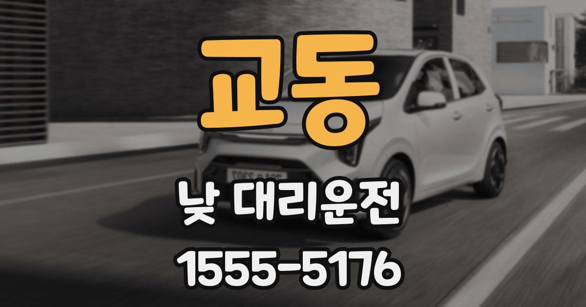 교동 낮 대리운전
