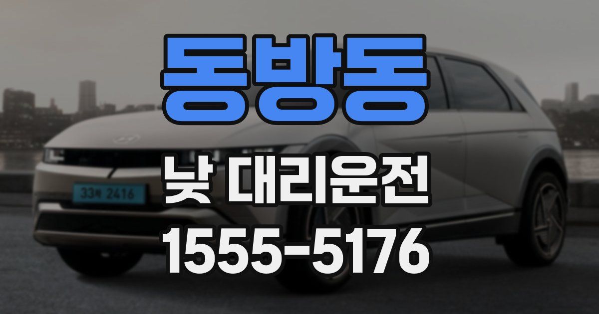 동방동 낮 대리운전
