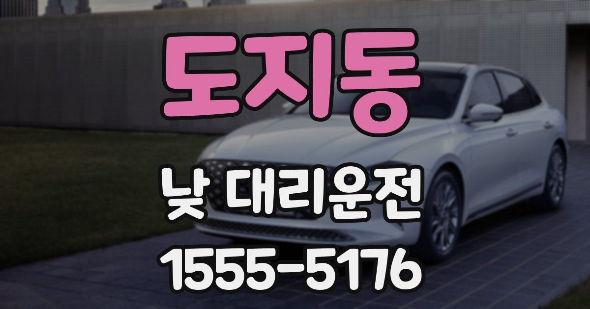 도지동 낮 대리운전