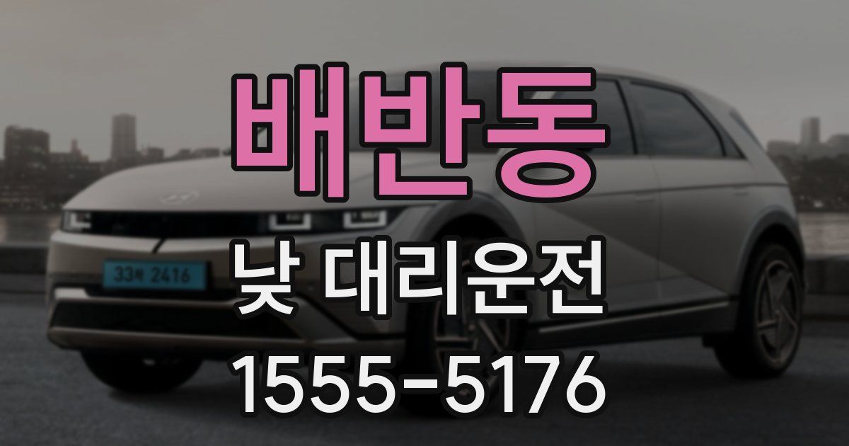 배반동 낮 대리운전