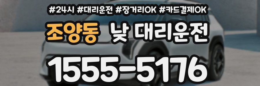 조양동 낮 대리운전