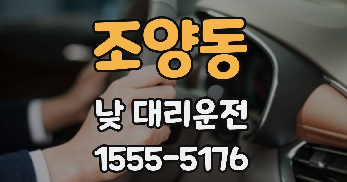 조양동 낮 대리운전