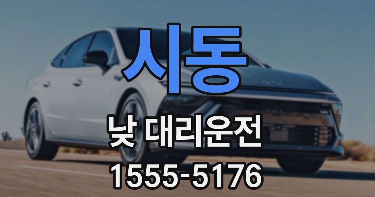 시동 낮 대리운전