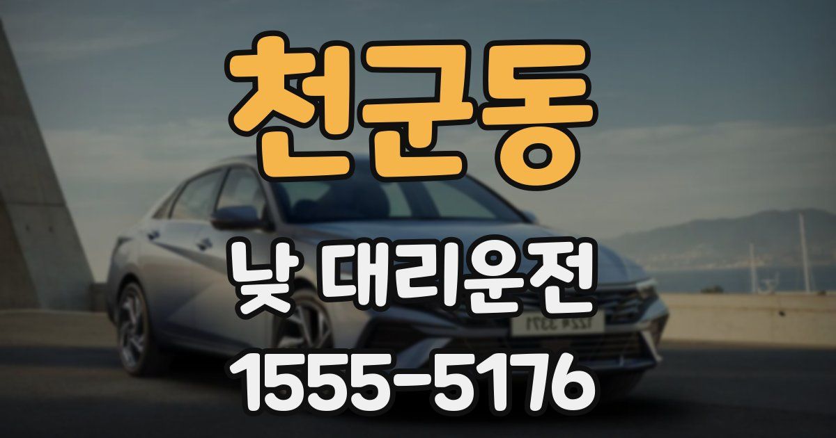 천군동 낮 대리운전