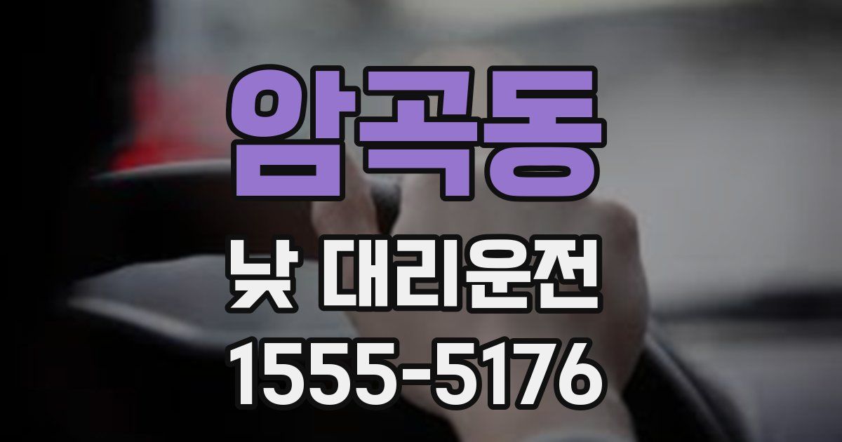 암곡동 낮 대리운전