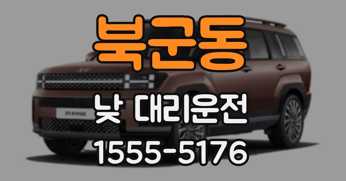 북군동 낮 대리운전