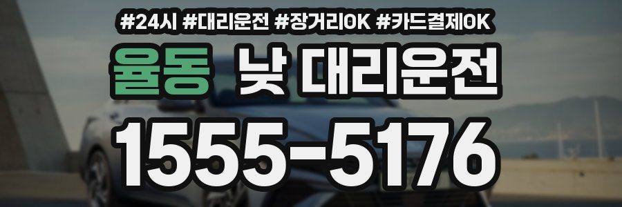 율동 낮 대리운전
