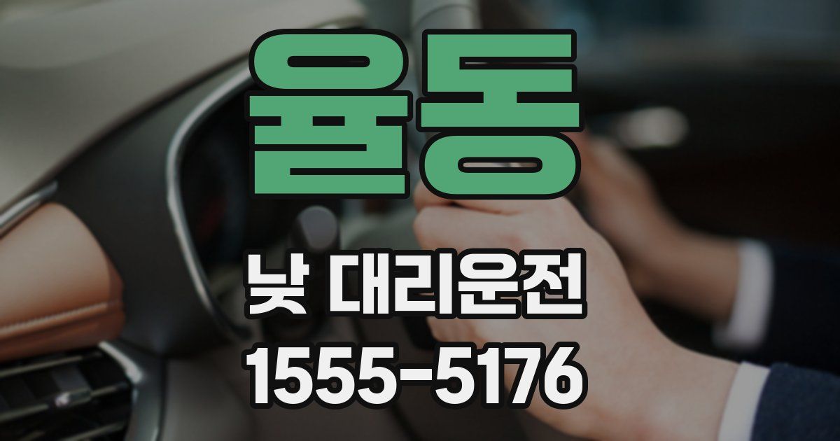 율동 낮 대리운전