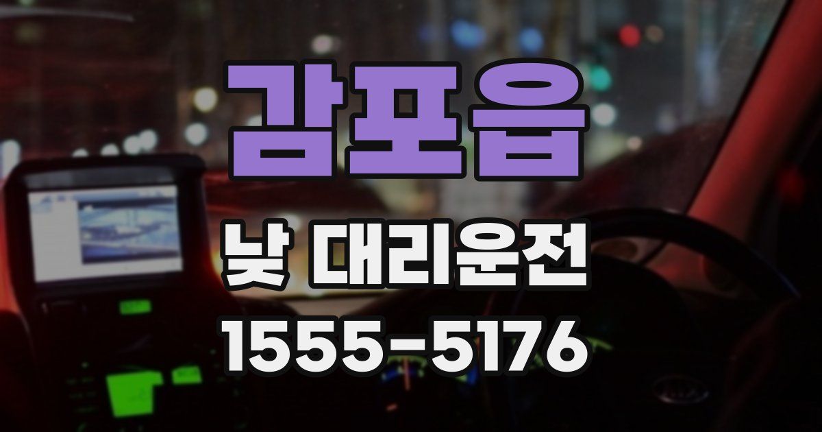 감포읍 낮 대리운전