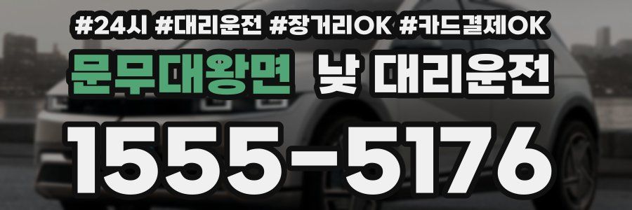 문무대왕면 낮 대리운전
