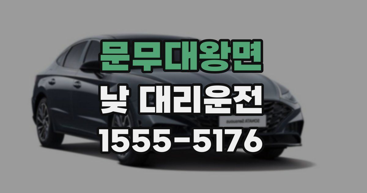 문무대왕면 낮 대리운전