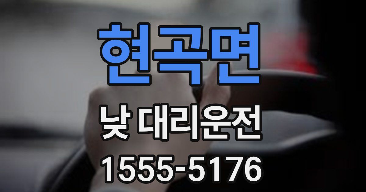 현곡면 낮 대리운전