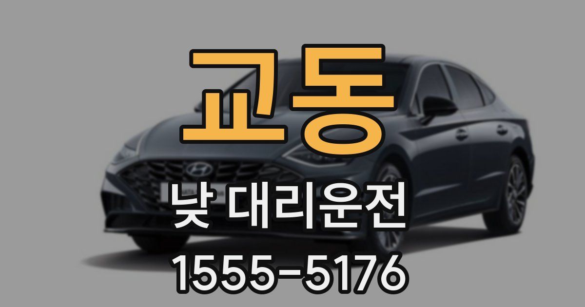 교동 낮 대리운전