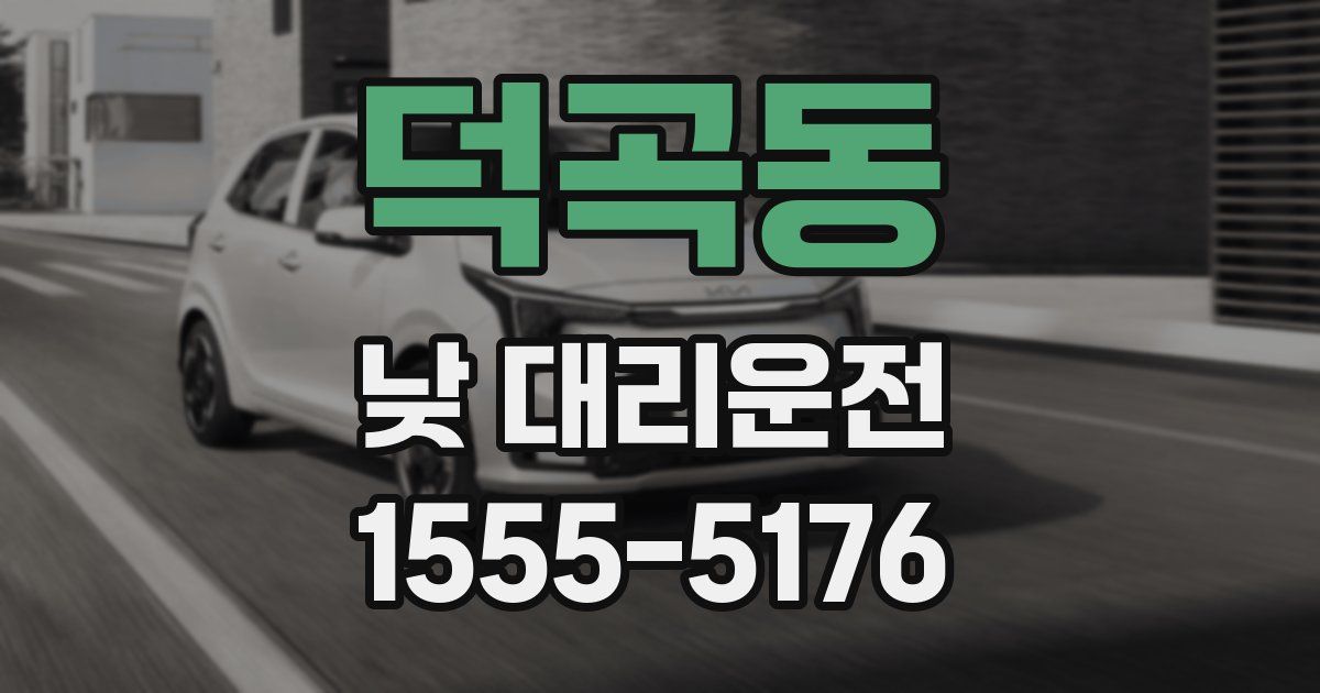 덕곡동 낮 대리운전