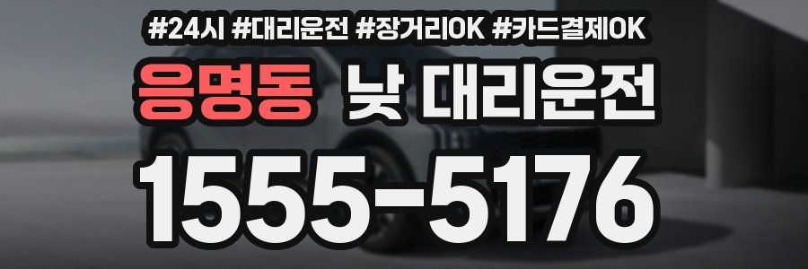 응명동 낮 대리운전