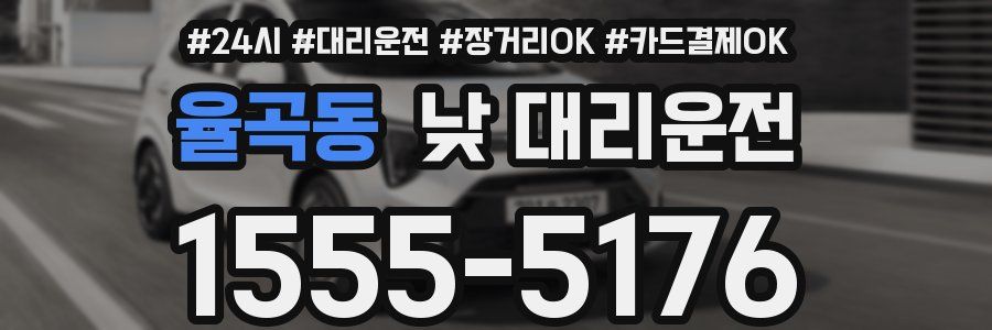 율곡동 낮 대리운전