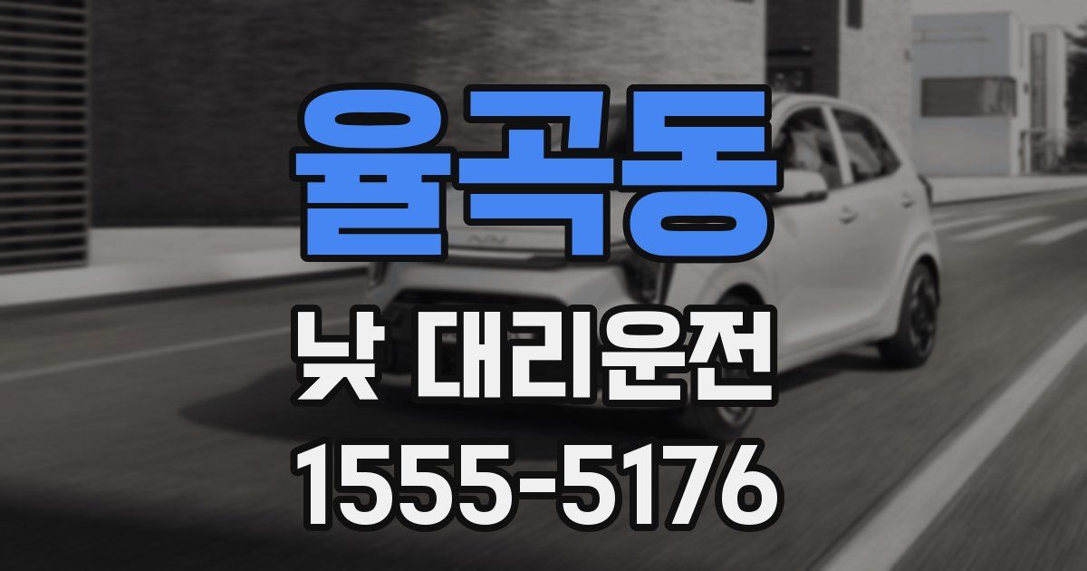 율곡동 낮 대리운전