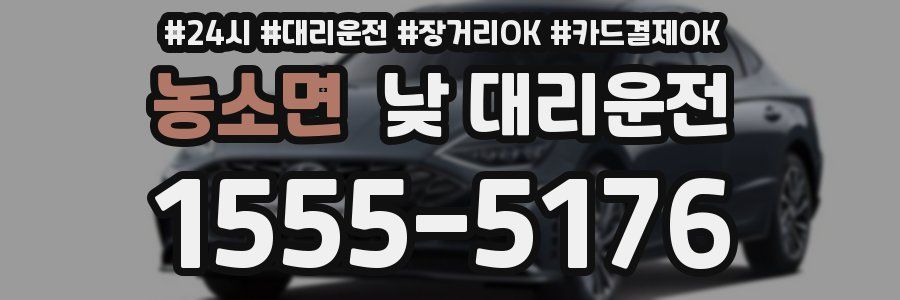 농소면 낮 대리운전