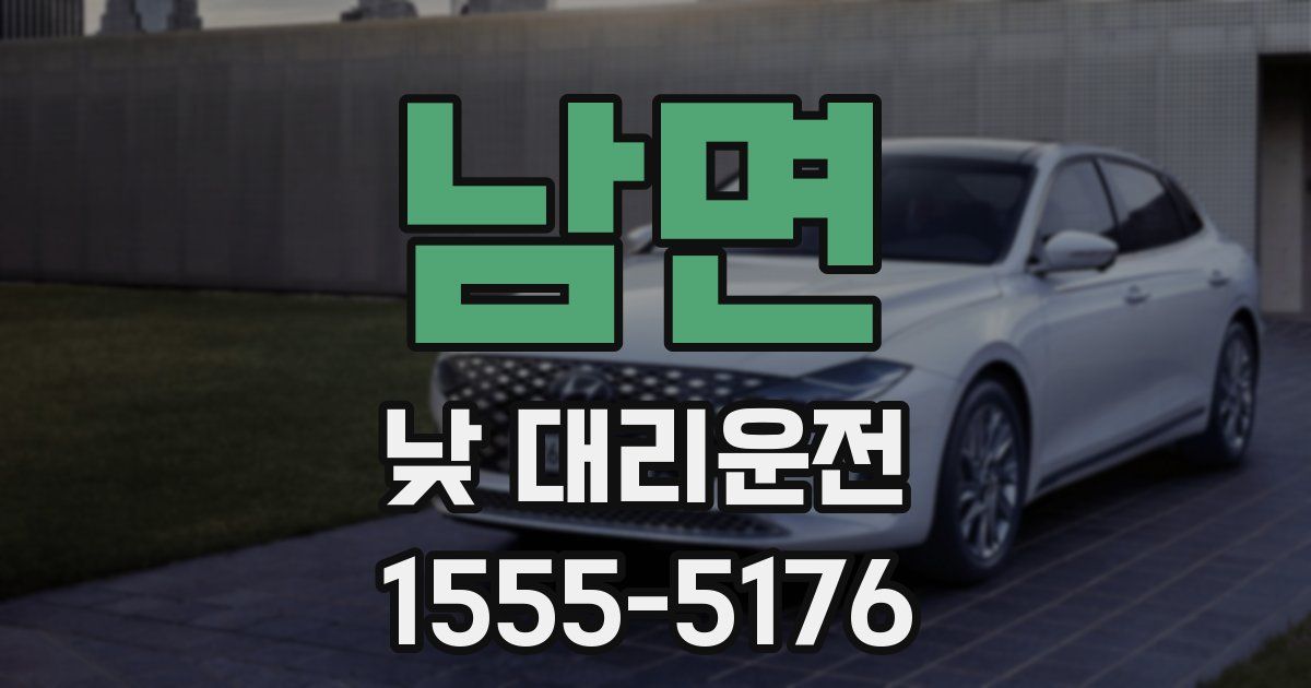 남면 낮 대리운전