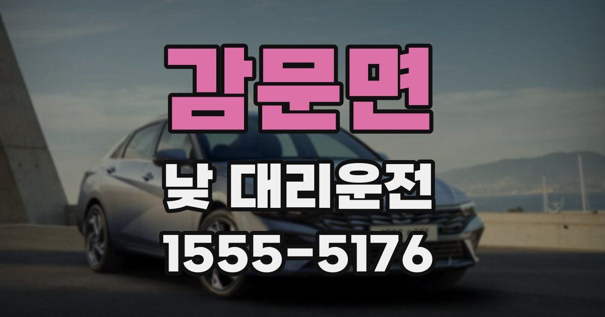 감문면 낮 대리운전