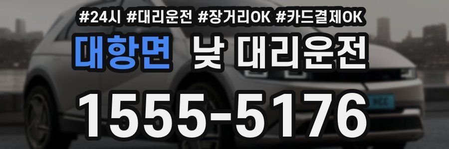 대항면 낮 대리운전