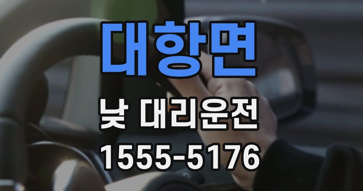 대항면 낮 대리운전