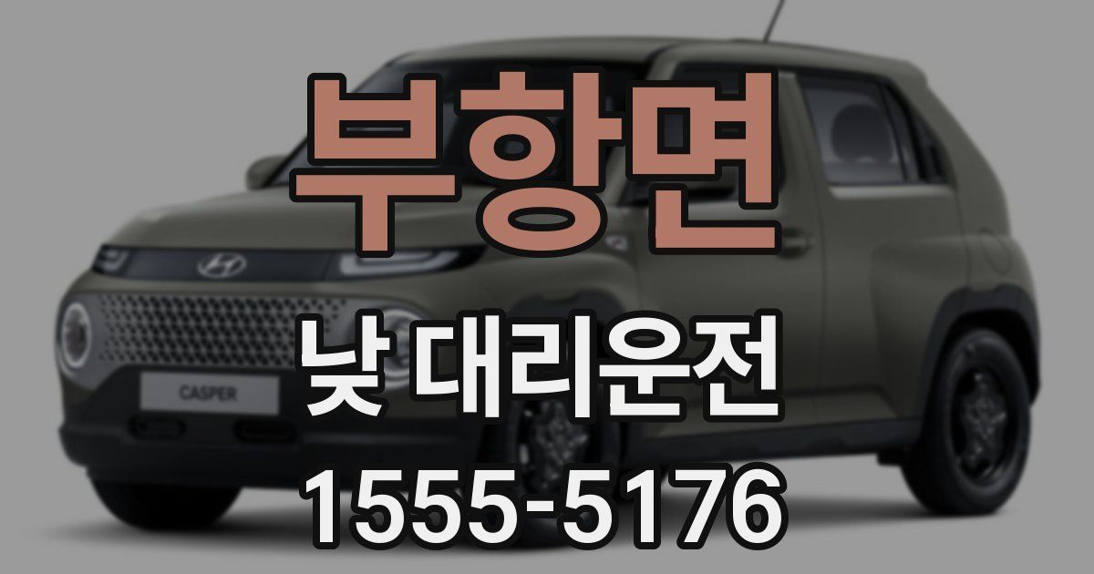 부항면 낮 대리운전